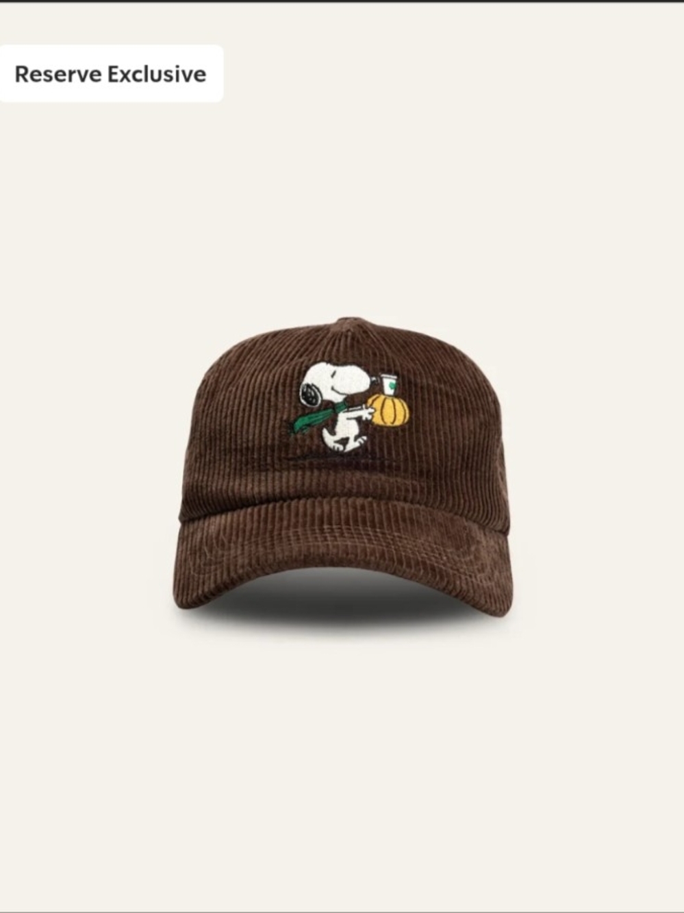 Starbucks x Peanuts Snoopy Brown Corduroy Baseball Cap BNWT